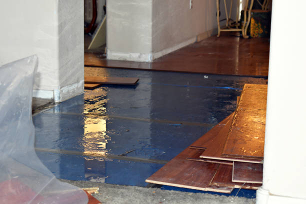 Professional Sewage Cleanup technician working in Whitehall, WI